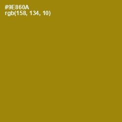 #9E860A - Reef Gold Color Image