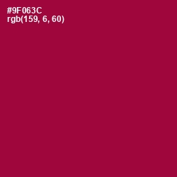 #9F063C - Paprika Color Image