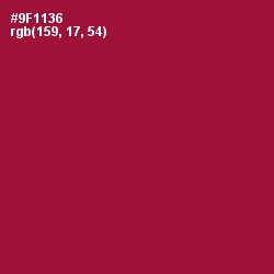 #9F1136 - Paprika Color Image