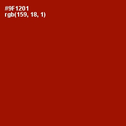 #9F1201 - Totem Pole Color Image