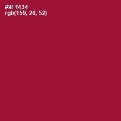 #9F1434 - Paprika Color Image