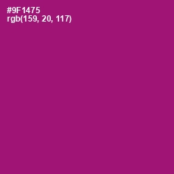#9F1475 - Fresh Eggplant Color Image