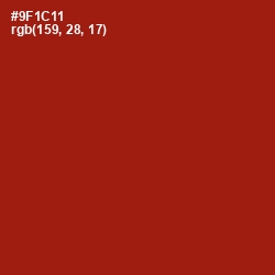 #9F1C11 - Tamarillo Color Image