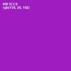 #9F1CC0 - Electric Violet Color Image