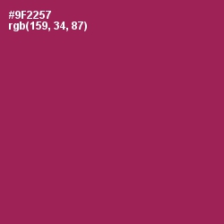 #9F2257 - Camelot Color Image