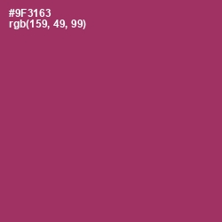 #9F3163 - Vin Rouge Color Image