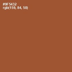 #9F5432 - Potters Clay Color Image