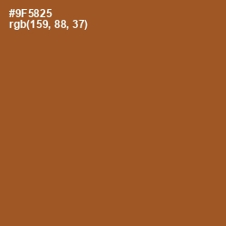 #9F5825 - Cumin Color Image