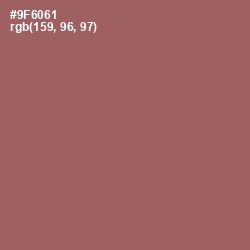 #9F6061 - Copper Rose Color Image