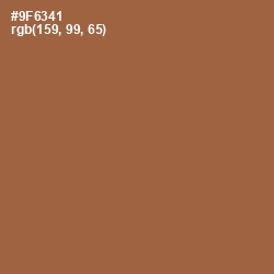 #9F6341 - Leather Color Image