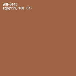 #9F6443 - Leather Color Image