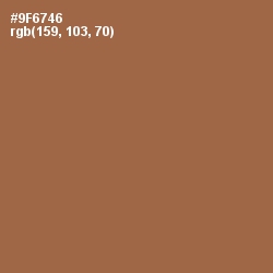 #9F6746 - Leather Color Image