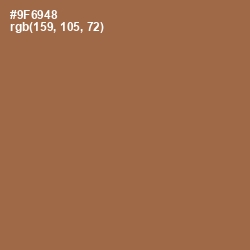 #9F6948 - Leather Color Image