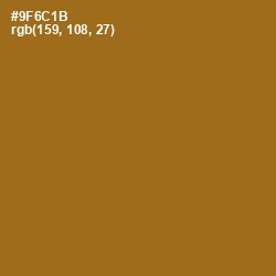 #9F6C1B - Corn Harvest Color Image