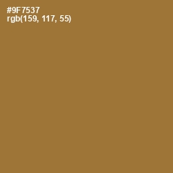 #9F7537 - Kumera Color Image