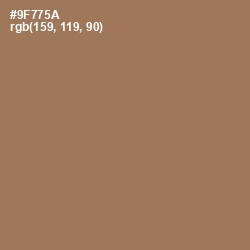 #9F775A - Leather Color Image