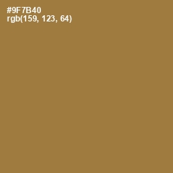 #9F7B40 - Leather Color Image