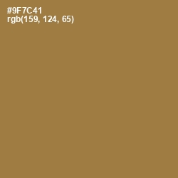 #9F7C41 - Leather Color Image