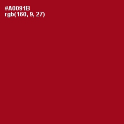 #A0091B - Bright Red Color Image