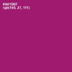 #A01B6F - Flirt Color Image