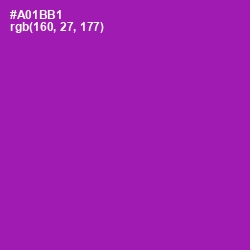 #A01BB1 - Violet Eggplant Color Image