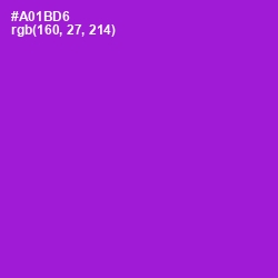 #A01BD6 - Electric Violet Color Image