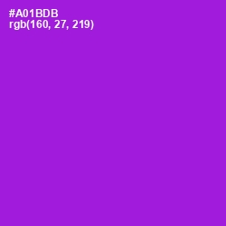 #A01BDB - Electric Violet Color Image