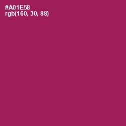 #A01E58 - Jazzberry Jam Color Image