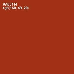 #A03114 - Tabasco Color Image