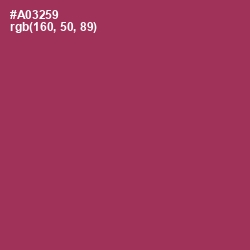 #A03259 - Night Shadz Color Image