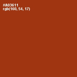 #A03611 - Tabasco Color Image