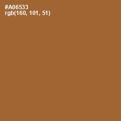 #A06533 - Desert Color Image