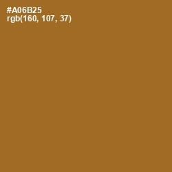#A06B25 - Desert Color Image