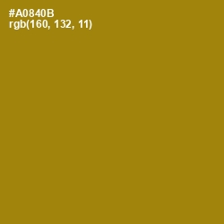 #A0840B - Hot Toddy Color Image