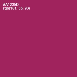 #A1235D - Night Shadz Color Image