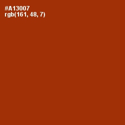 #A13007 - Tabasco Color Image