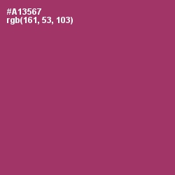 #A13567 - Rouge Color Image