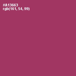 #A13663 - Rouge Color Image