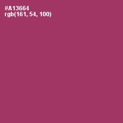 #A13664 - Rouge Color Image
