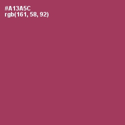 #A13A5C - Night Shadz Color Image