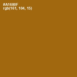 #A1680F - Reno Sand Color Image