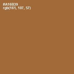 #A16B39 - Copper Color Image