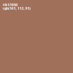 #A1705B - Santa Fe Color Image
