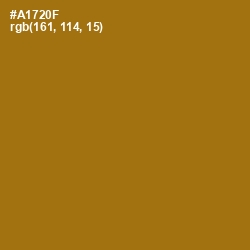 #A1720F - Buttered Rum Color Image