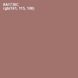 #A1736C - Coral Tree Color Image