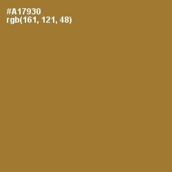 #A17930 - Copper Color Image