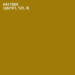 #A17B08 - Buttered Rum Color Image