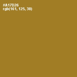 #A17D26 - Copper Color Image