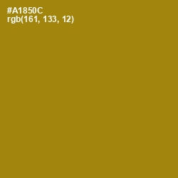 #A1850C - Hot Toddy Color Image