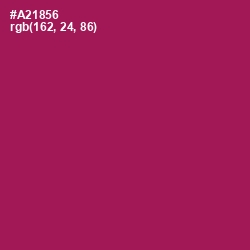 #A21856 - Jazzberry Jam Color Image